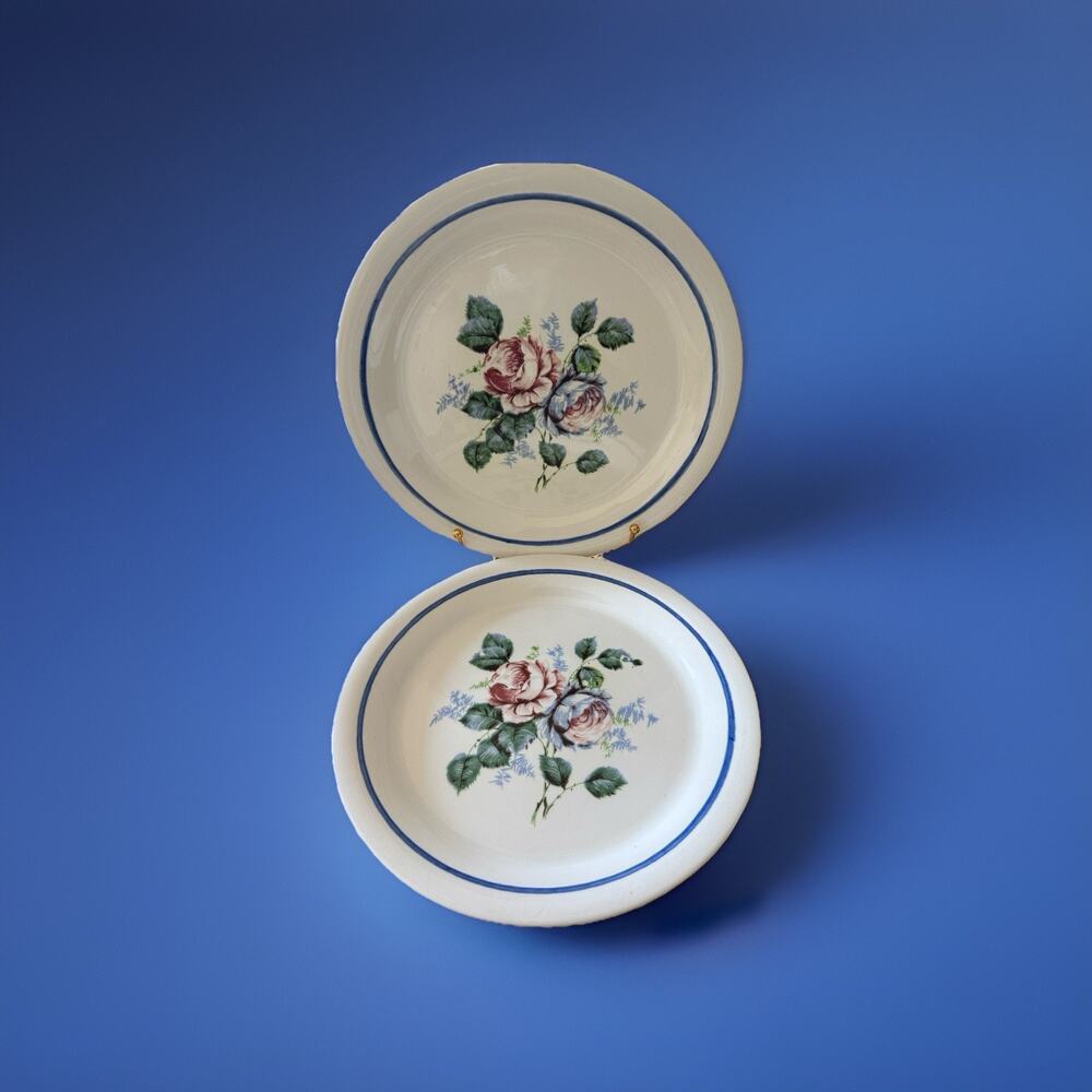 LOFISA Vintage Guadalajara Mexico Floral Plates/Set Of 2 Cottagecore